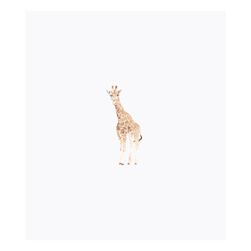 Giraffe Linen Baby Blanket
