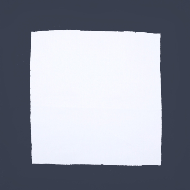 White linen napkin navy blue border
