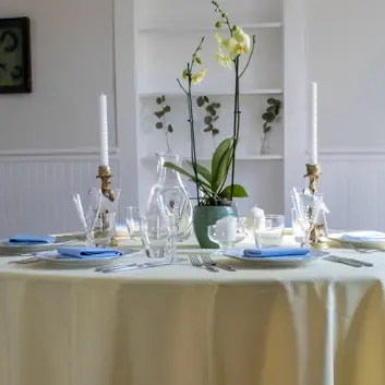 Spun Polyester Tablecloths