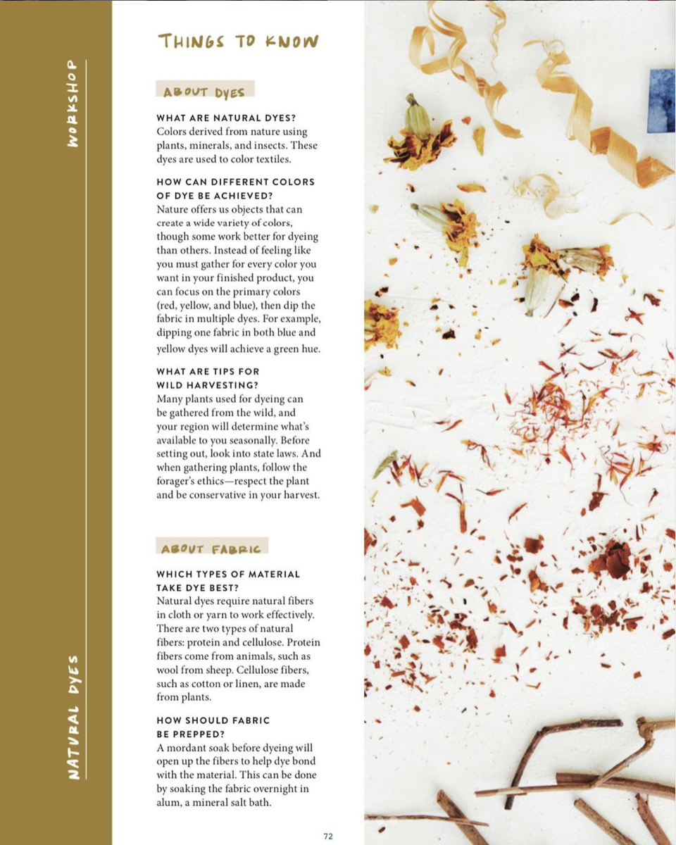 Magnolia Journal